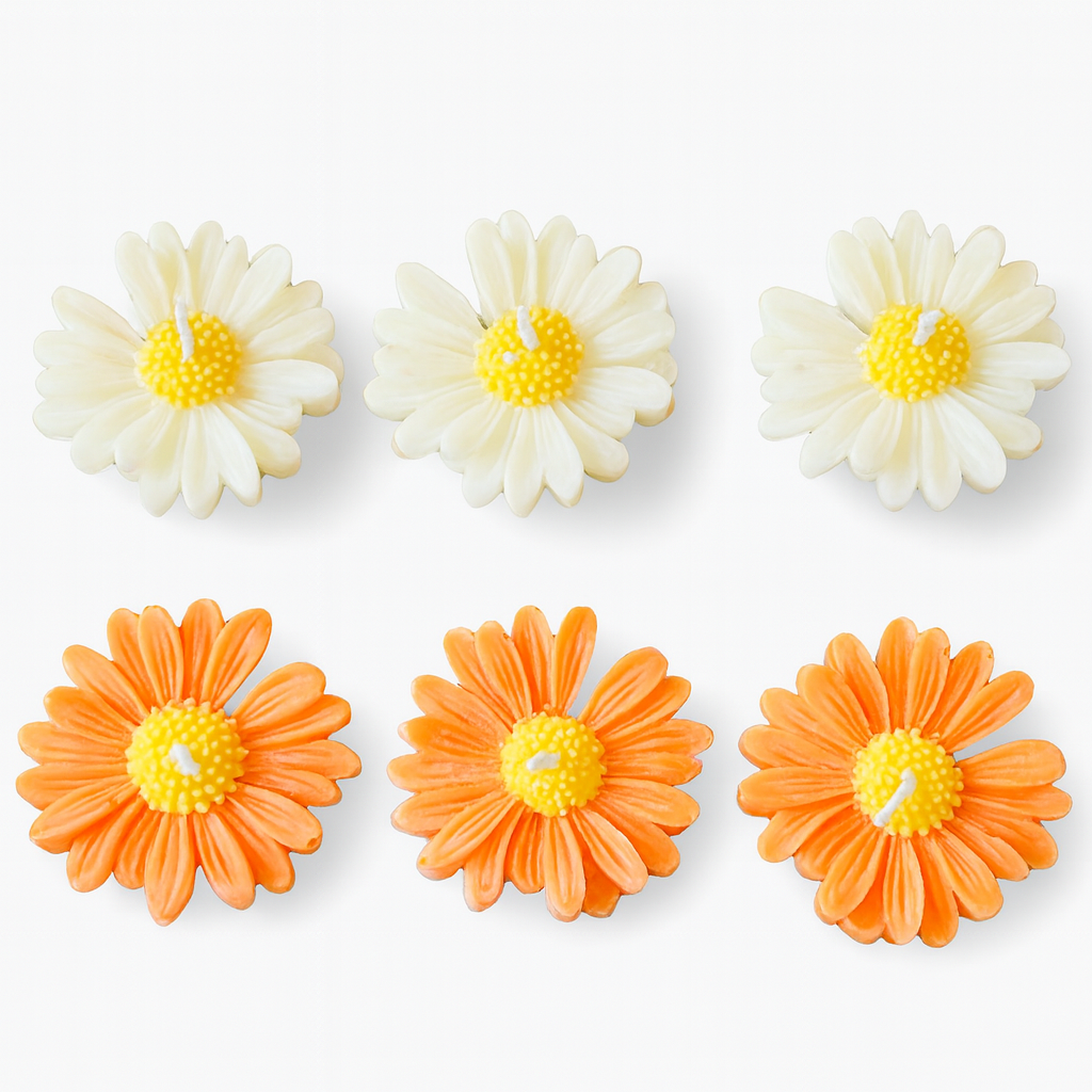 Gift set Daisy 6-pack