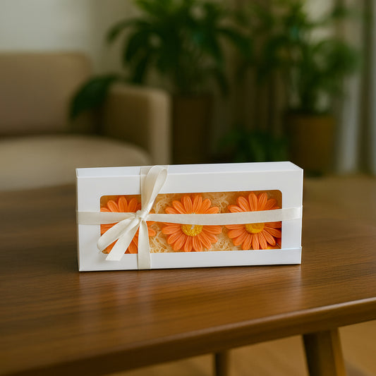 Presentset Daisy 6-pack